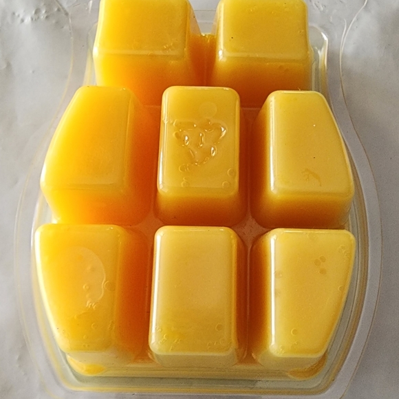 Scentsy Bar bundle lot Retired 3 New! - Picture 7 of 10